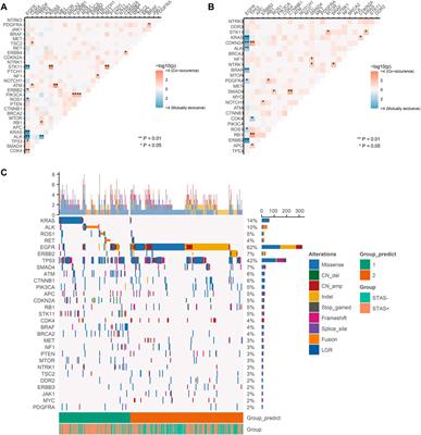 Comprehensive molecular characterizations of stage I–III lung adenocarcinoma with tumor spread through air spaces